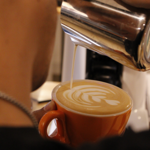 Curso Barista Inicial SEMANAL